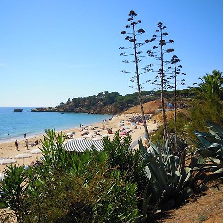 فندق Jardins Da Balaia البوفيرا المظهر الخارجي الصورة